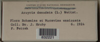 Arcyria denudata image